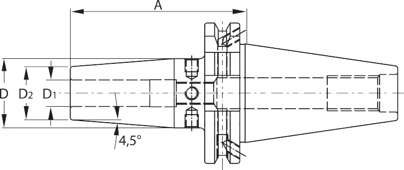 ⌀ di serraggio D1: 12mm